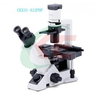 CKX31 倒置显微镜