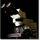 CX41 生物显微镜